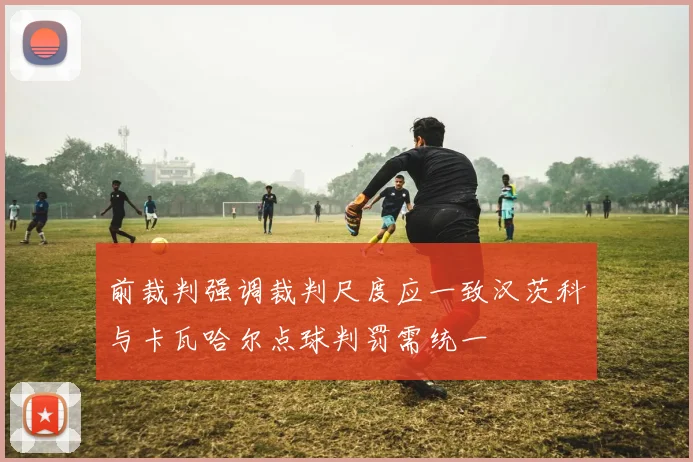 前裁判强调裁判尺度应一致汉茨科与卡瓦哈尔点球判罚需统一