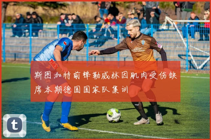 斯图加特前锋勒威林因肌肉受伤缺席本期德国国家队集训