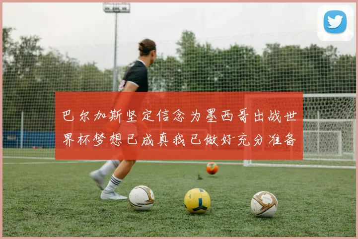 巴尔加斯坚定信念为墨西哥出战世界杯梦想已成真我已做好充分准备